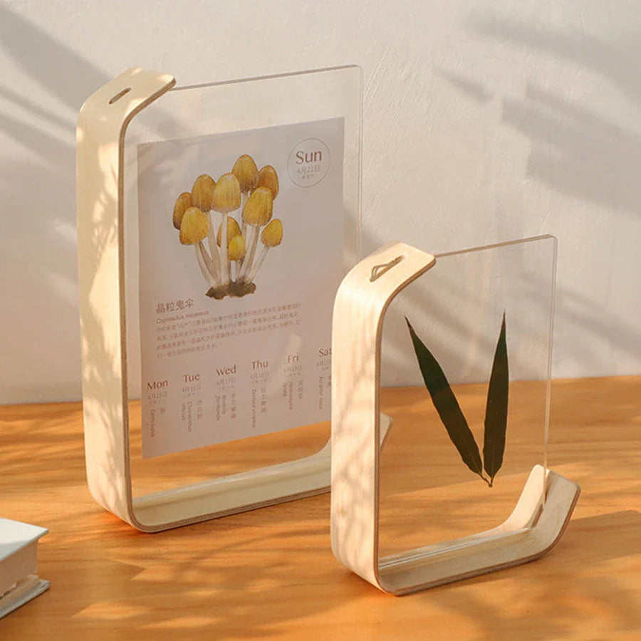 Acrylic Wooden Herbarium Display Photo Frame, DIY Wedding Decor